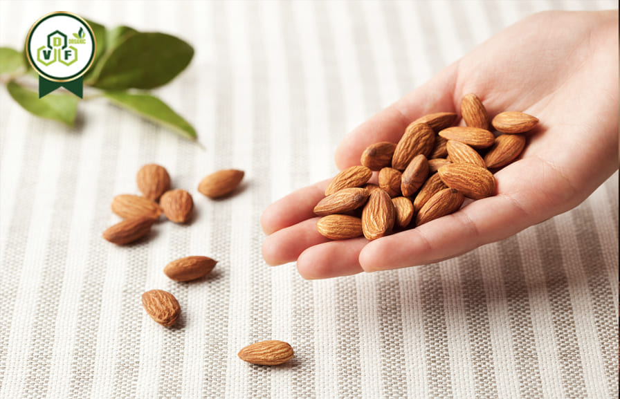 Almonds are healthy snacks and good source of protein.